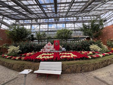 淡路ファームパーク イングランドの丘に投稿された画像（2024/12/29）