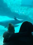 名古屋港水族館に投稿された画像（2024/12/30）