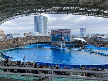 名古屋港水族館に投稿された画像（2024/12/29）