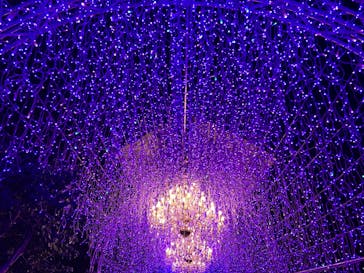 江の島シーキャンドルに投稿された画像（2024/12/29）