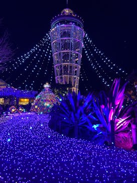 江の島シーキャンドルに投稿された画像（2024/12/29）