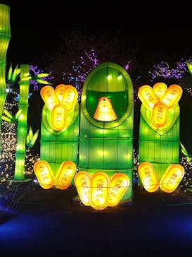 伊豆高原グランイルミに投稿された画像（2024/12/29）