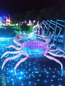 伊豆高原グランイルミに投稿された画像（2024/12/29）