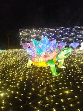 伊豆高原グランイルミに投稿された画像（2024/12/29）