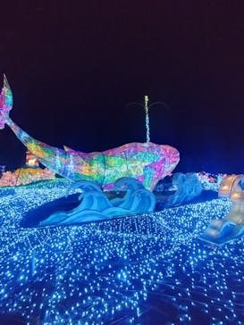 伊豆高原グランイルミに投稿された画像（2024/12/29）