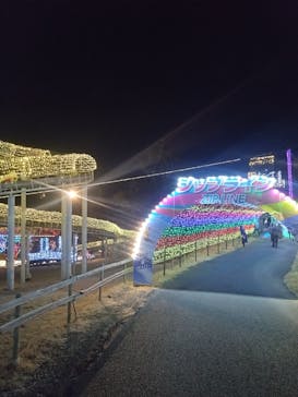 伊豆高原グランイルミに投稿された画像（2024/12/29）