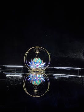 KYOTO ILLUMINATION SYNESTHESIA HILLS るり渓温泉に投稿された画像（2024/12/30）