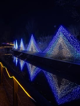 KYOTO ILLUMINATION SYNESTHESIA HILLS るり渓温泉に投稿された画像（2024/12/30）