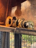 伊豆シャボテン動物公園に投稿された画像（2024/12/30）