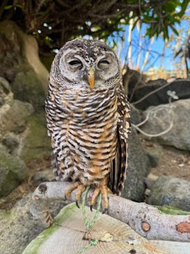 伊豆シャボテン動物公園に投稿された画像（2024/12/30）