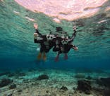 沖縄マリンサービス碧に投稿された画像（2024/12/30）