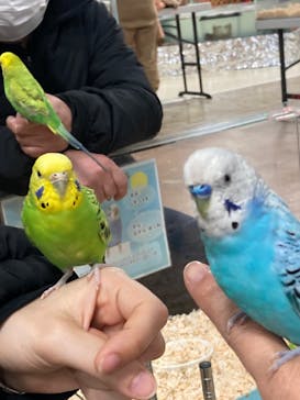 いきもの探検隊上尾に投稿された画像（2024/12/30）