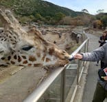 伊豆アニマルキングダムに投稿された画像（2024/12/30）