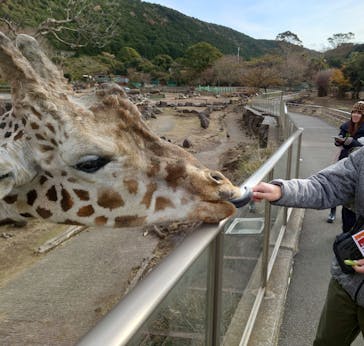 伊豆アニマルキングダムに投稿された画像（2024/12/30）