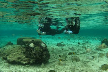 武藤潜水に投稿された画像（2024/12/30）