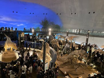 福井県立恐竜博物館に投稿された画像（2024/12/30）