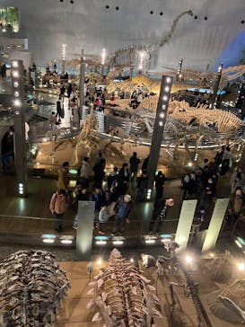 福井県立恐竜博物館に投稿された画像（2024/12/30）