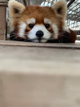 横浜・八景島シーパラダイスに投稿された画像（2024/12/30）