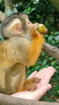 石垣やいま村に投稿された画像（2024/12/30）