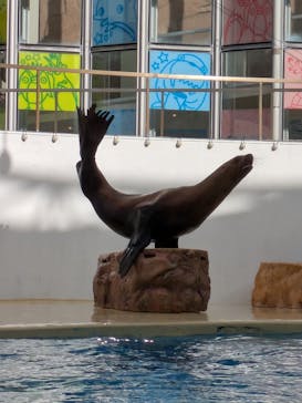 伊豆・三津シーパラダイスに投稿された画像（2024/12/30）