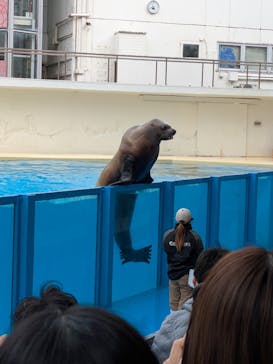 伊豆・三津シーパラダイスに投稿された画像（2024/12/30）