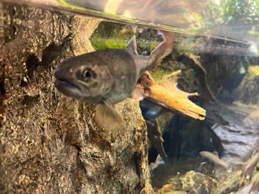 鴨川シーワールドに投稿された画像（2024/12/30）