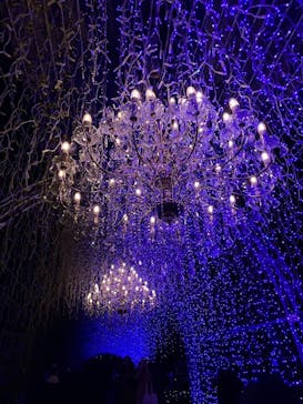 江の島シーキャンドル×新江ノ島水族館に投稿された画像（2024/12/30）