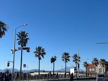 江の島シーキャンドル×新江ノ島水族館に投稿された画像（2024/12/30）