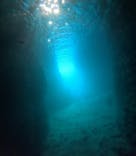 沖縄マリンサービス碧に投稿された画像（2024/12/30）