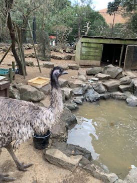 伊豆シャボテン動物公園に投稿された画像（2024/12/30）