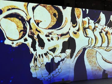 動き出す浮世絵展 TOKYOに投稿された画像（2024/12/30）