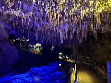 おきなわワールドに投稿された画像（2024/12/30）