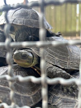 おきなわワールドに投稿された画像（2024/12/30）