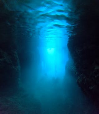 青の洞窟専門店　沖縄ダイビングショップ和に投稿された画像（2024/12/30）