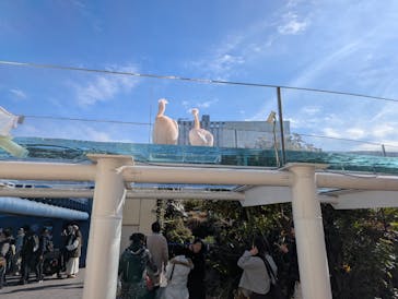 サンシャイン水族館に投稿された画像（2024/12/30）