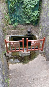 首里城公園 有料区域に投稿された画像（2024/12/30）