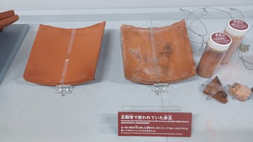 首里城公園 有料区域に投稿された画像（2024/12/30）