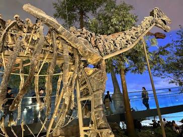 福井県立恐竜博物館に投稿された画像（2024/12/30）