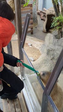 世界淡水魚園水族館　アクア・トトぎふに投稿された画像（2024/12/30）