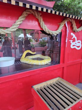 おきなわワールドに投稿された画像（2024/12/30）