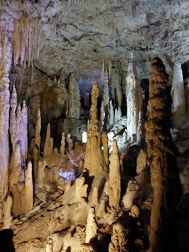 おきなわワールドに投稿された画像（2024/12/30）