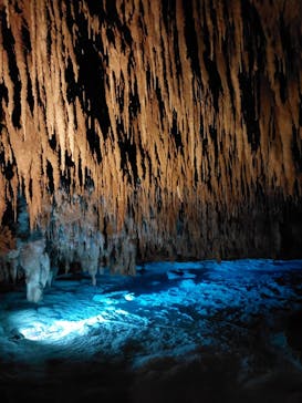 おきなわワールドに投稿された画像（2024/12/30）