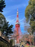 東京タワーに投稿された画像（2024/12/30）