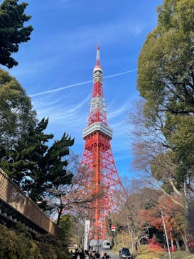 東京タワーに投稿された画像（2024/12/30）