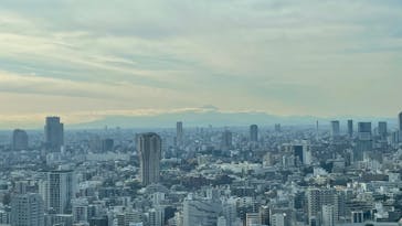 東京タワーに投稿された画像（2024/12/30）