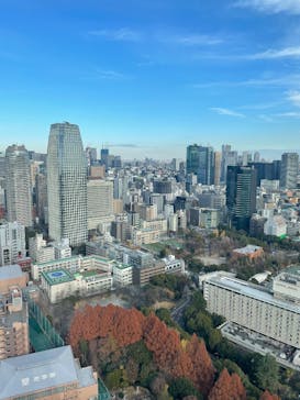 東京タワーに投稿された画像（2024/12/30）