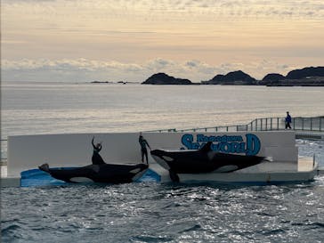 鴨川シーワールドに投稿された画像（2024/12/30）