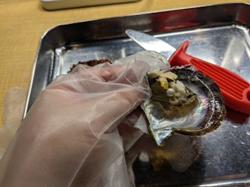 三重県真珠に投稿された画像（2024/12/30）