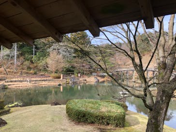 修善寺虹の郷に投稿された画像（2024/12/30）