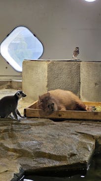 NIFREL（ニフレル）に投稿された画像（2024/12/30）